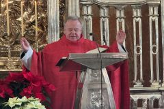 Gottesdienst zum Stefanitag 2025 in Mariazell - Foto: Franz Peter Stadler