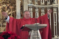 Gottesdienst zum Stefanitag 2025 in Mariazell - Foto: Franz Peter Stadler