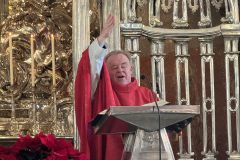 Gottesdienst zum Stefanitag 2025 in Mariazell - Foto: Franz Peter Stadler