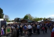 Steiermark-Frühling 2016