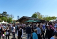 Steiermark-Frühling 2016