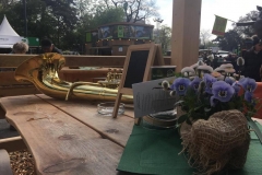 Steiermarkfrühling 2017 - Foto: Katja Girrer für Mariazell-Online