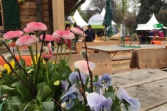 Steiermarkfrühling 2017 - Foto: Katja Girrer für Mariazell-Online