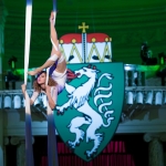 Steirerball 2017 © Verein der Steirer in Wien/Katharina Schiffl