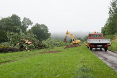Sturmschaden (c) Josef Kuss