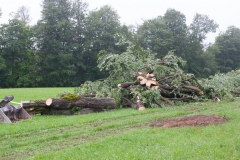 Sturmschaden (c) Josef Kuss