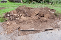 Sturmschaden (c) Josef Kuss