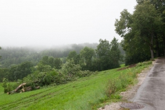 Sturmschaden (c) Josef Kuss