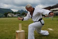 Taekwondo in Mariazell - Foto: Hubert Cafuta, www.yu-taekwondo.at
