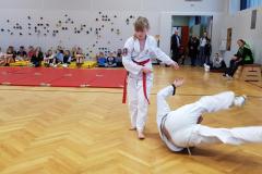 Taekwondo in Mariazell - Foto: Hubert Cafuta, www.yu-taekwondo.at