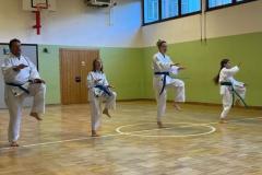 Taekwondo in Mariazell - Foto: Hubert Cafuta, www.yu-taekwondo.at