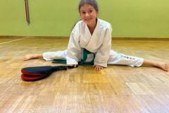 Taekwondo in Mariazell - Foto: Hubert Cafuta, www.yu-taekwondo.at