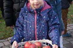 Tag des Apfels - Foto: Josef Kuss