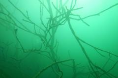 Tauchen im Erlaufsee - Foto: Mariazell Online