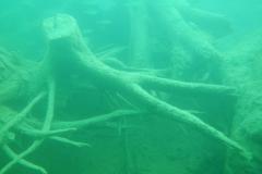 Tauchen im Erlaufsee - Foto: Mariazell Online