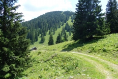 Wanderung Tonion - Tonionhütte