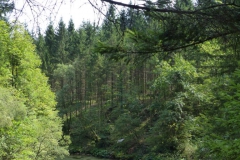 Trefflingfall-Wanderung - Foto: Mariazell-Online