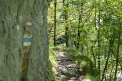 Trefflingfall-Wanderung - Foto: Mariazell-Online