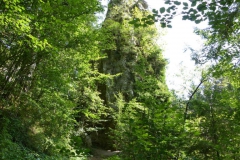 Trefflingfall-Wanderung - Foto: Mariazell-Online