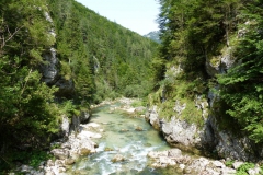 Trefflingfall-Wanderung - Foto: Mariazell-Online