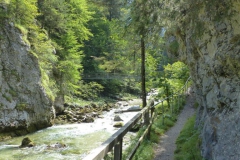 Trefflingfall-Wanderung - Foto: Mariazell-Online