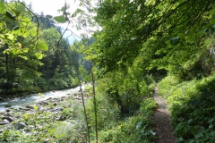 Trefflingfall-Wanderung - Foto: Mariazell-Online