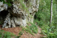 Trefflingfall-Wanderung - Foto: Mariazell-Online