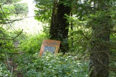 Trefflingfall-Wanderung - Foto: Mariazell-Online