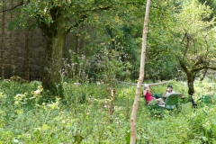 Trefflingfall-Wanderung - Foto: Mariazell-Online