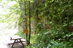 Trefflingfall-Wanderung - Foto: Mariazell-Online