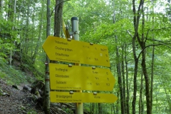 Trefflingfall-Wanderung - Foto: Mariazell-Online