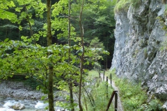 Trefflingfall-Wanderung - Foto: Mariazell-Online