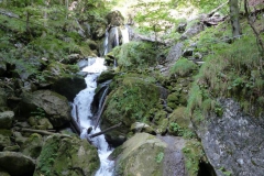 Trefflingfall-Wanderung - Foto: Mariazell-Online