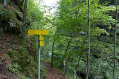 Trefflingfall-Wanderung - Foto: Mariazell-Online