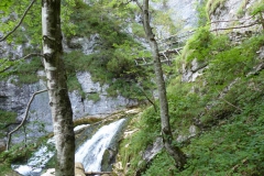 Trefflingfall-Wanderung - Foto: Mariazell-Online