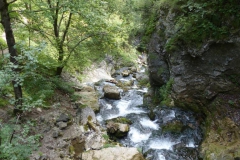 Trefflingfall-Wanderung - Foto: Mariazell-Online