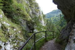 Trefflingfall-Wanderung - Foto: Mariazell-Online