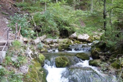 Trefflingfall-Wanderung - Foto: Mariazell-Online