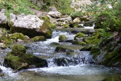 Trefflingfall-Wanderung - Foto: Mariazell-Online