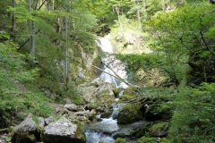Trefflingfall-Wanderung - Foto: Mariazell-Online