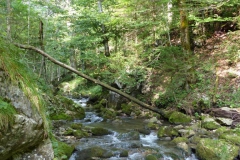 Trefflingfall-Wanderung - Foto: Mariazell-Online