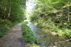 Trefflingfall-Wanderung - Foto: Mariazell-Online