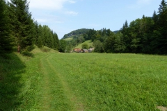 Trefflingfall-Wanderung - Foto: Mariazell-Online