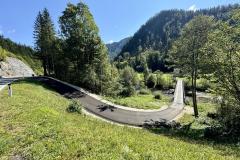 Waldsiedel - Foto: Franz Peter Stadler