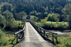 Waldsiedel - Foto: Franz Peter Stadler