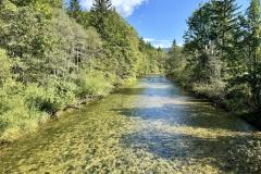 Waldsiedel - Foto: Franz Peter Stadler