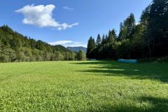 Waldsiedel - Foto: Franz Peter Stadler