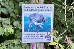 Waldsiedel - Foto: Franz Peter Stadler