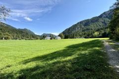 Waldsiedel - Foto: Franz Peter Stadler