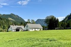 Waldsiedel - Foto: Franz Peter Stadler